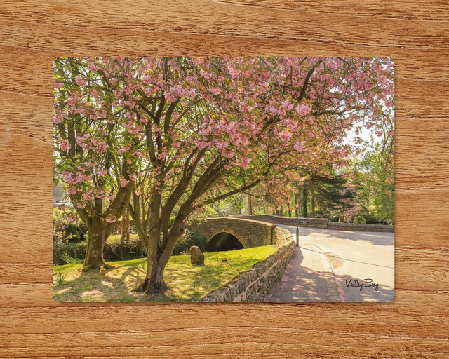 "Blossom in the Village of Low Bradfield" Glass Worktop Saver  