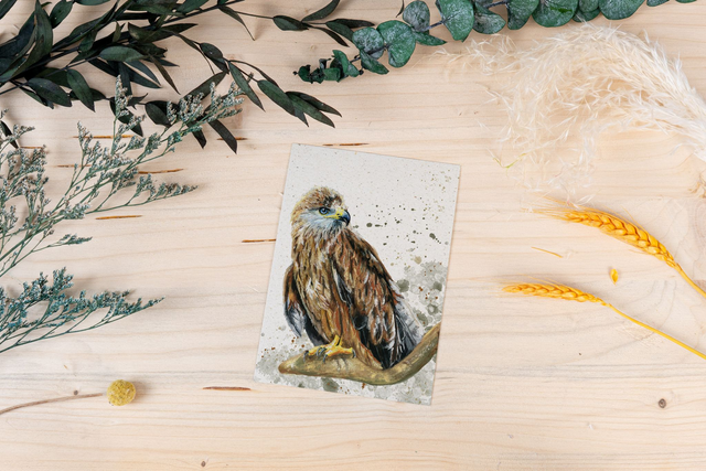 Graspapierkarte - Rotmilan