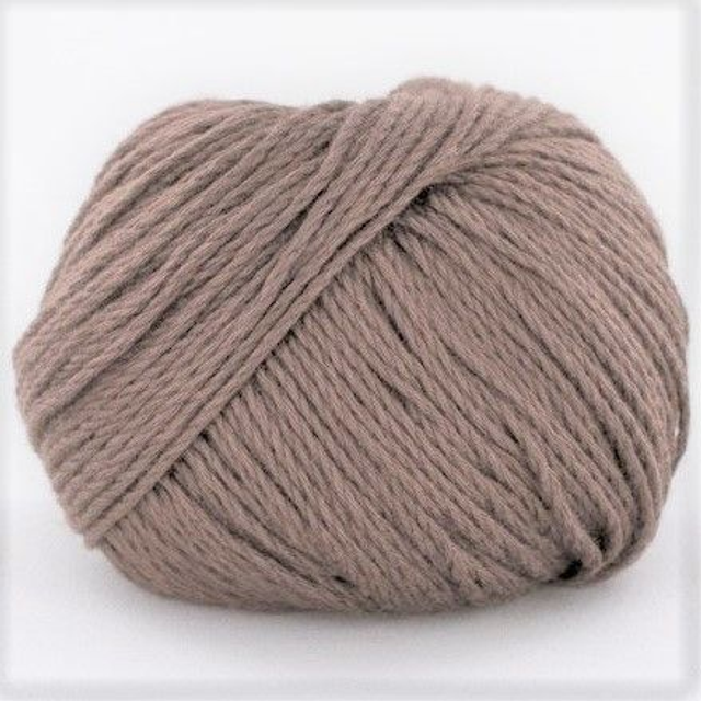 Bambou marron glacé  X5 N466