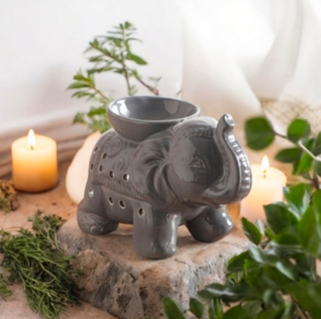 Éléphant 