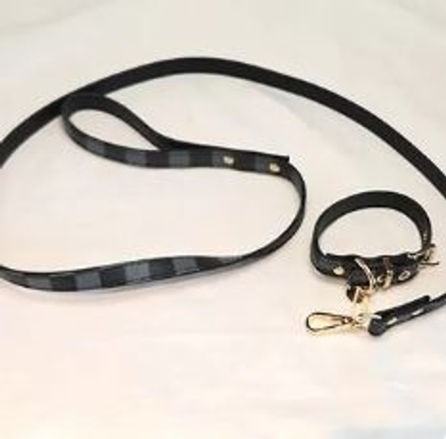 Angela Luxe halsband en riem set