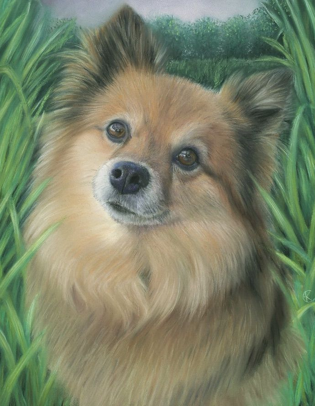 Greeting Card  'KENZA' (Konijnenparadijs) 