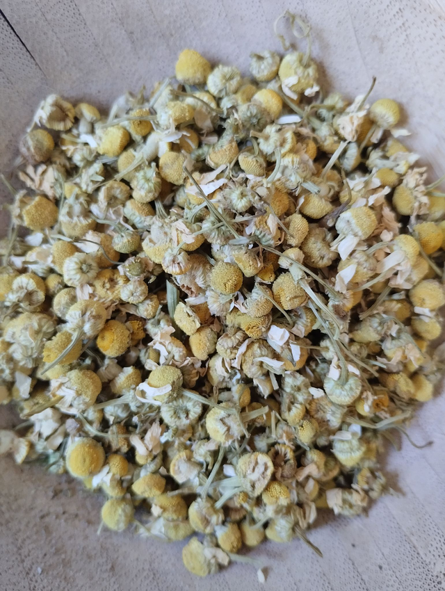 Camomille (Cymbopognon citratus)