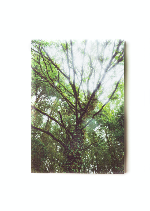 Carnet de notes format poche A6 -  &quot;Forêt magique #1&quot; Brocéliande - 48 pages blanches