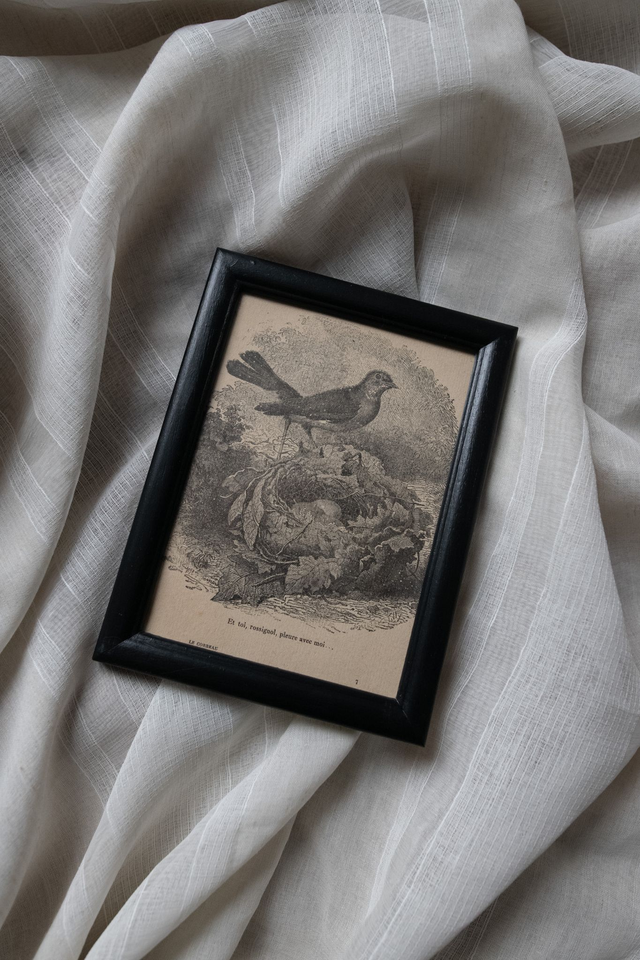 Nightingale 🥀 Cadre upcyclé