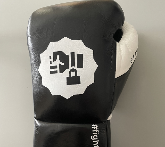 VARAZDAT CONTEST BOXING GLOVES