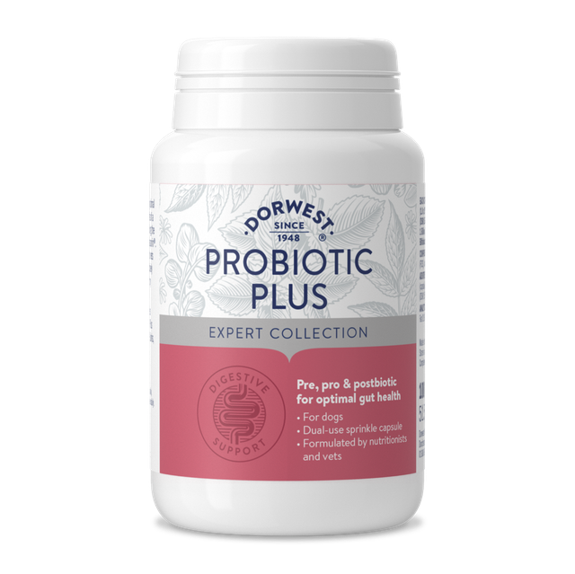 Probiotic Plus