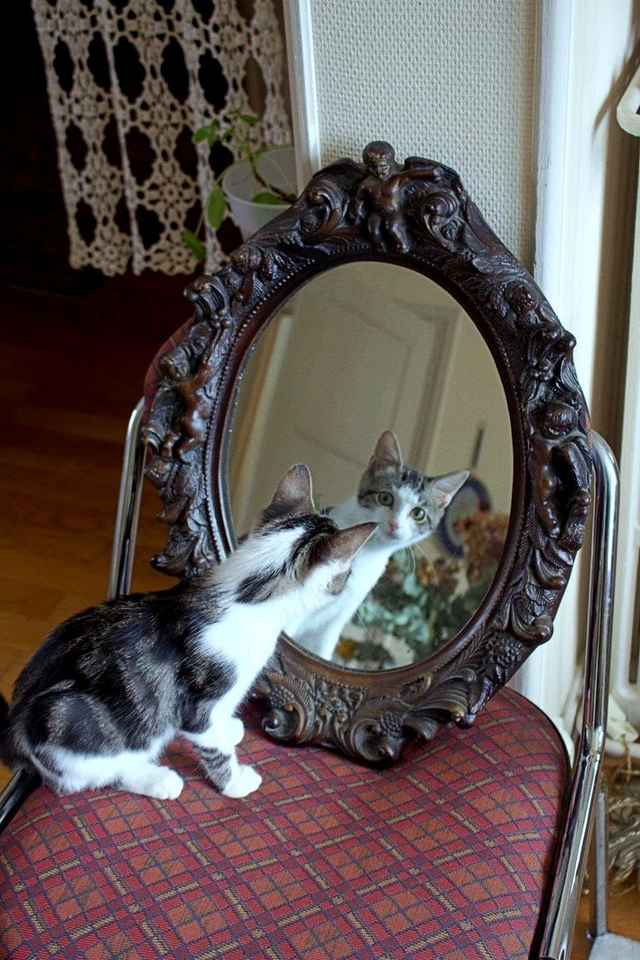 Miroir en résine vintage