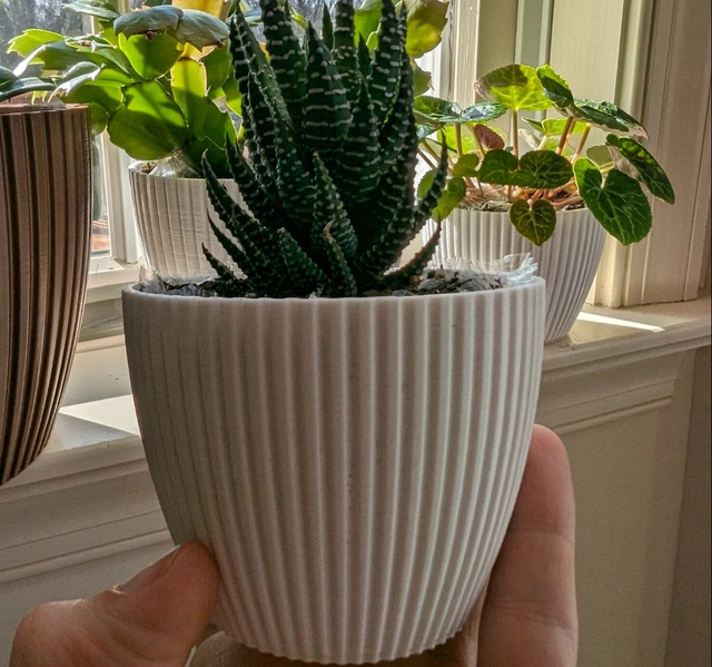 Simple Pot Flower