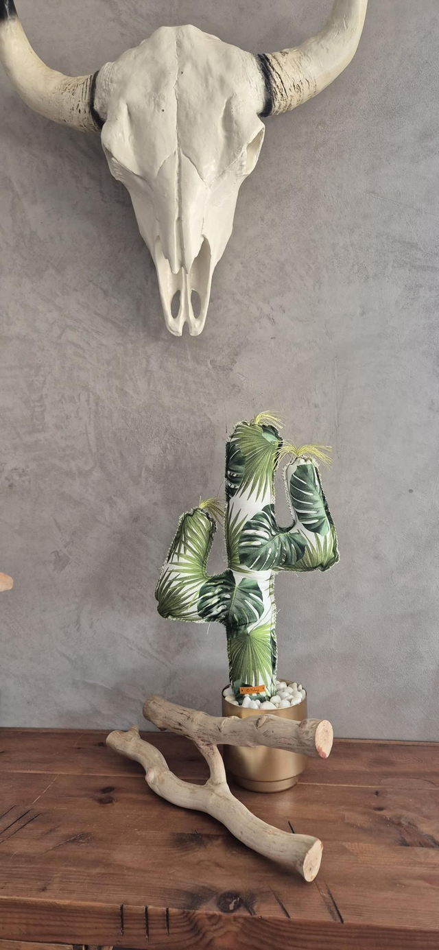 Cactus tropical 