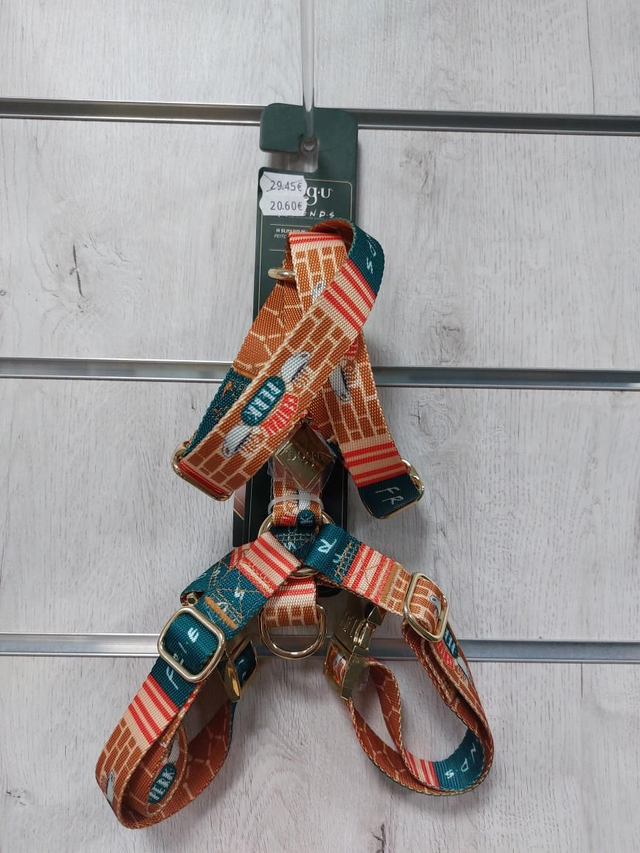 Arnés H Educativo (Friends) En tallas S,M,L