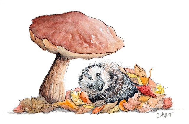 Tableau à l'aquarelle hérisson au champignon