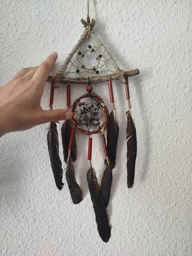 ABN-Salvia Witchy