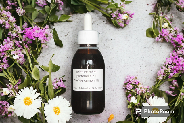 Partenelle ou Grande Camomille (Tanacetum Parthenium) Teinture Mère (100 ml)