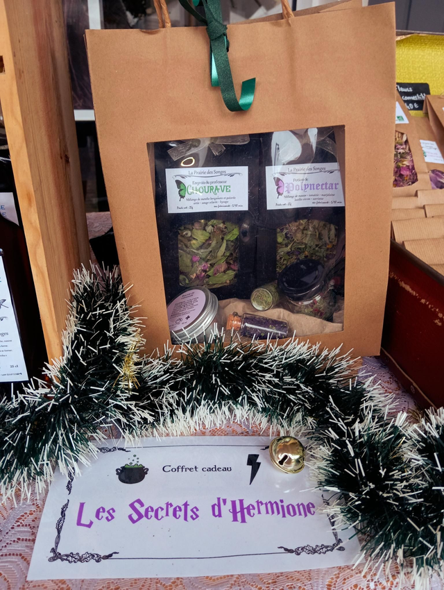 Coffret Harry Potter '* Les secrets d'Hermione *'