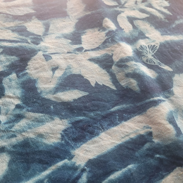 Sun Prints: Cyanotype &amp; Anthotype Botanical Printing