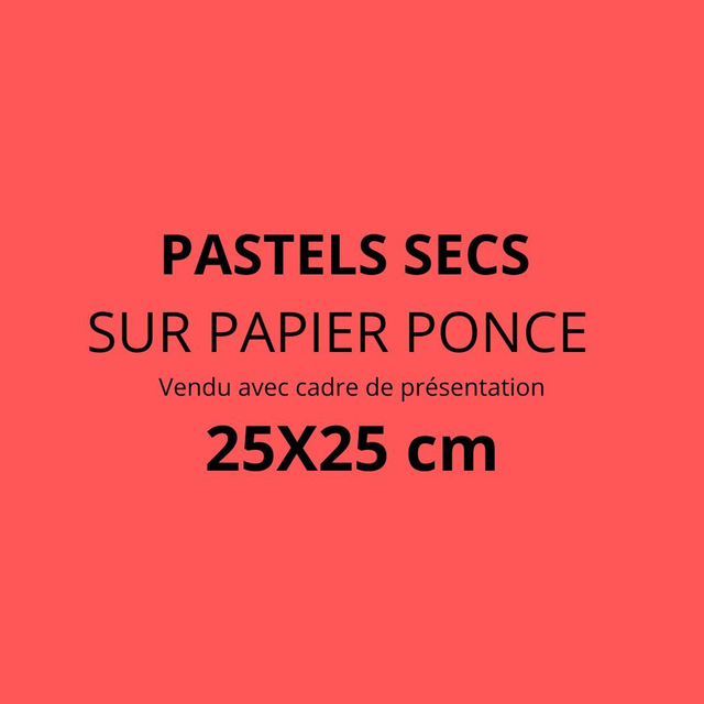 PASTELS SECS SUR PAPIER PONCE  Vendu avec cadre de présentation - 25X25 cm