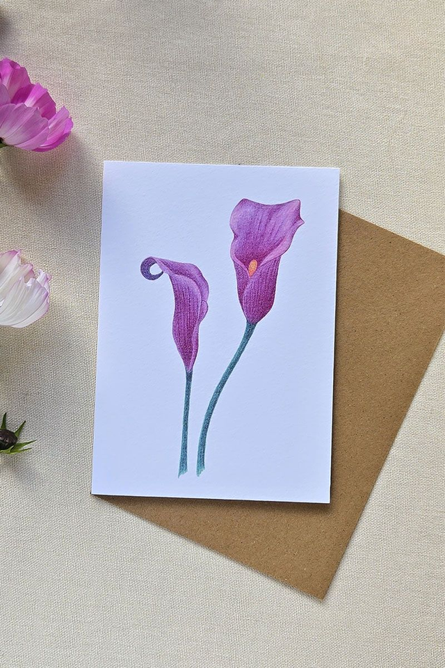 Carte au crayon de couleur - Fleur de Calla