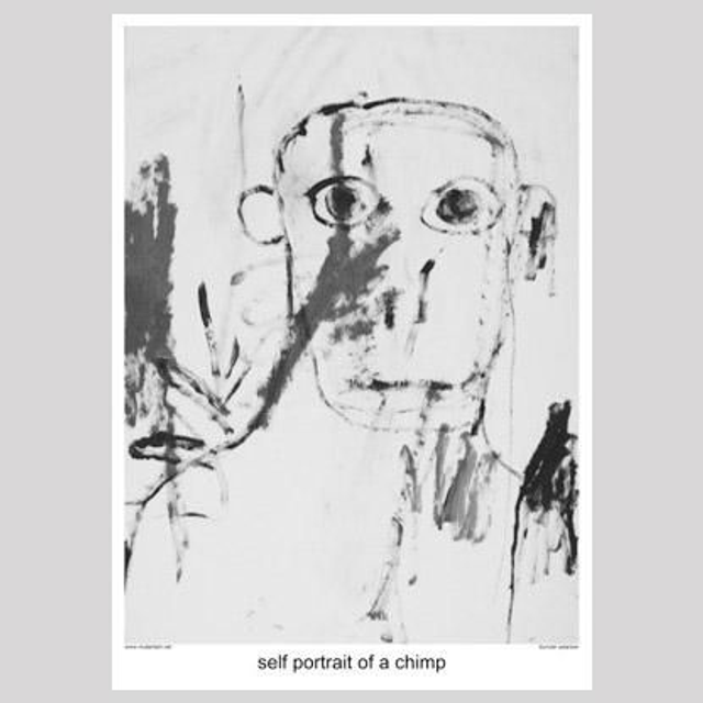 self portrait of a chimp