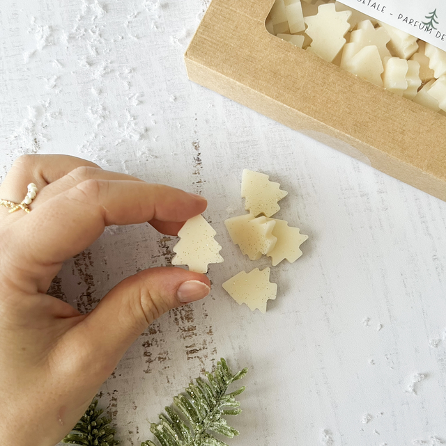 Coffret fondant parfumé - Collection de Noël - Sapin