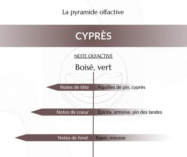 Cyprès - Fondant parfumé