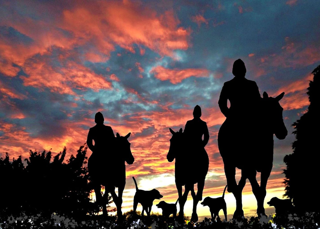 Horse &amp; Hounds 2