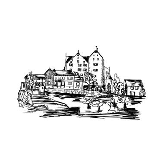 Stempel Schloss Wildegg 6x10cm