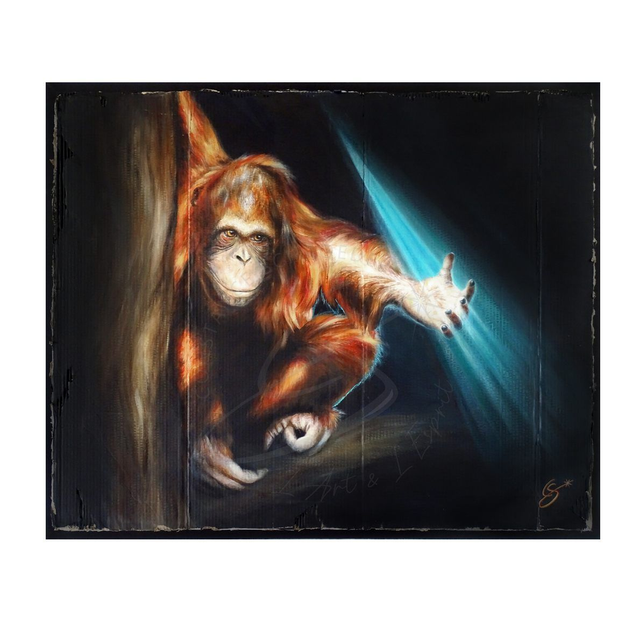 Orang-Outan &quot;La prière&quot;