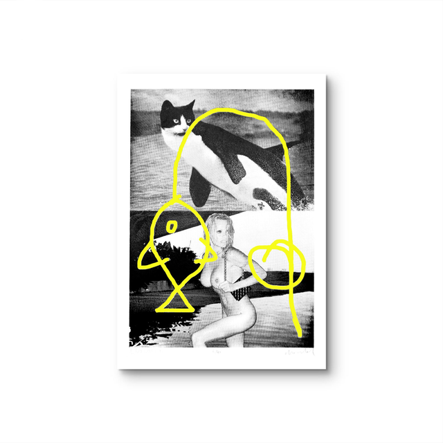 Sérigraphie - Mazaccio &amp; Drowilal