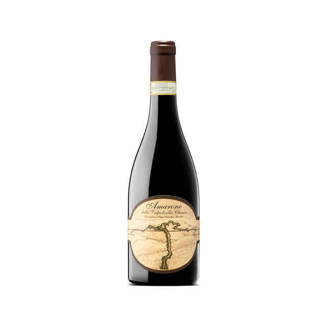 TERRE DI LEONE | AMARONE 2013 | AMARONE DELLA VALPOLICELLA CLASSICO DOCG