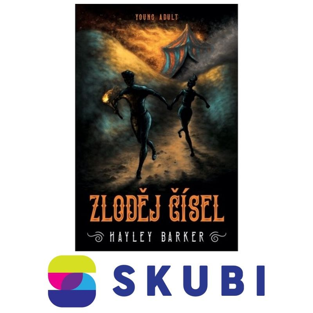 Kniha Zloděj čísel - Hayley Barker