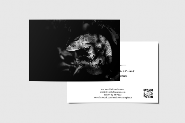 Carte postale "Vert de nuit"