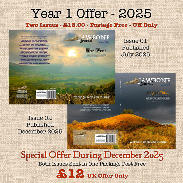 Jawbone Journal - Year 1 Offer - 2025