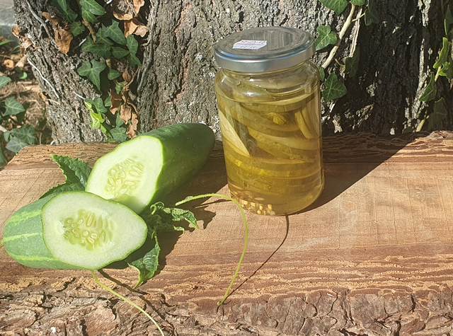 Pickles de concombres