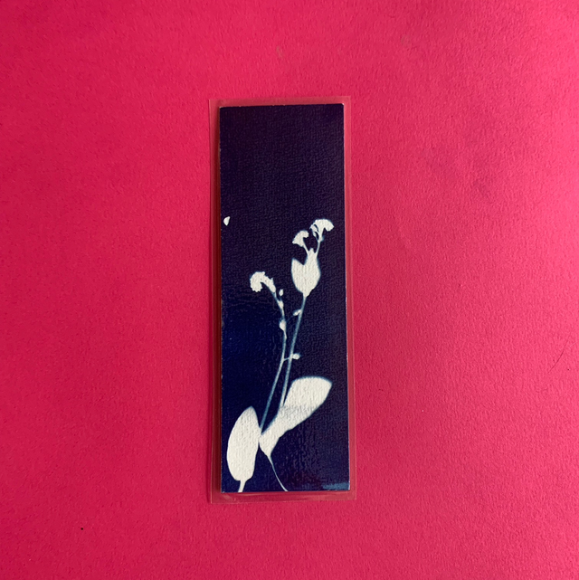 Marque page cyanotype végétal original sur papier épais et plastifié