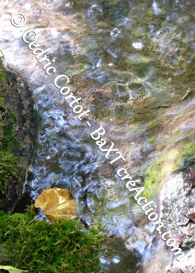 Carte postale - Reflets et cours d'Eau (Ref P1190142)