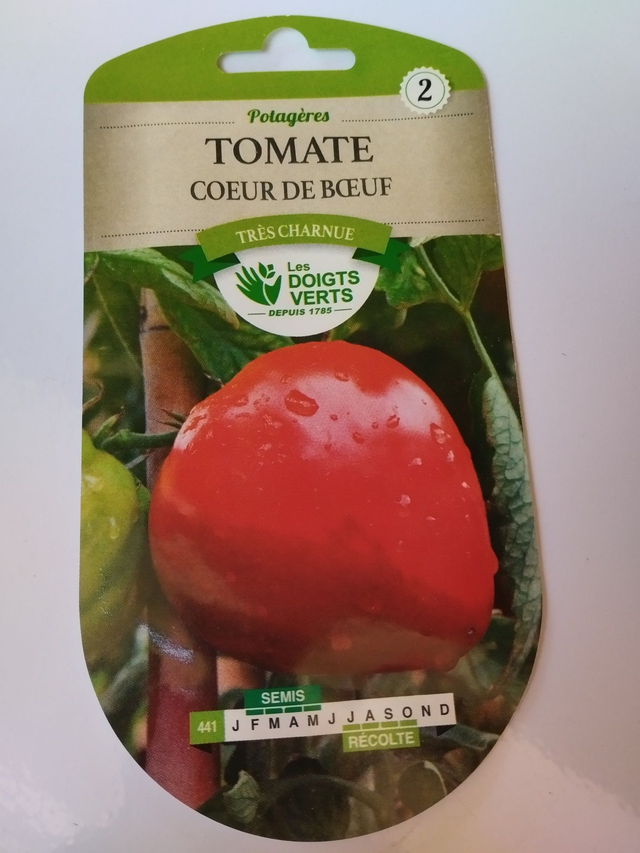 Tomate Cœur de Bœuf