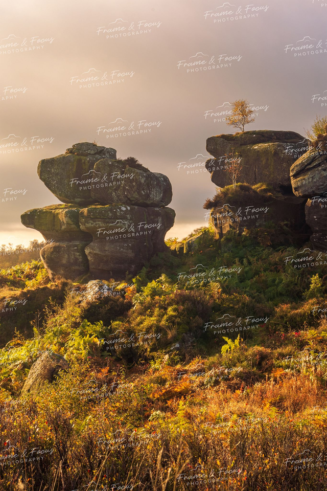 King of the Castle, Brimham Rocks