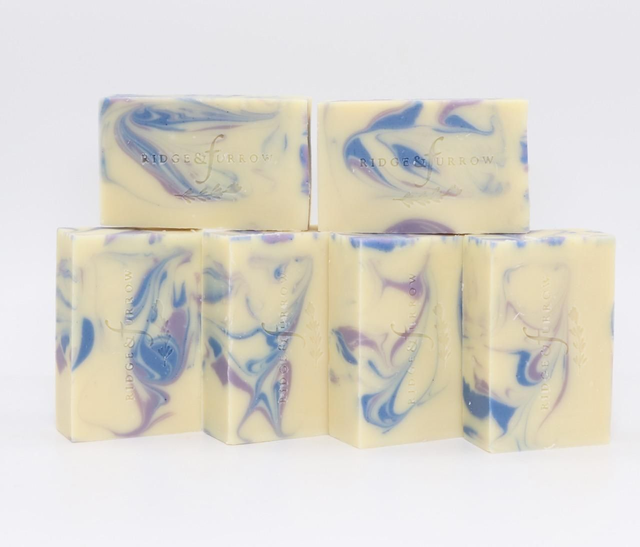 Soap (a single bar)