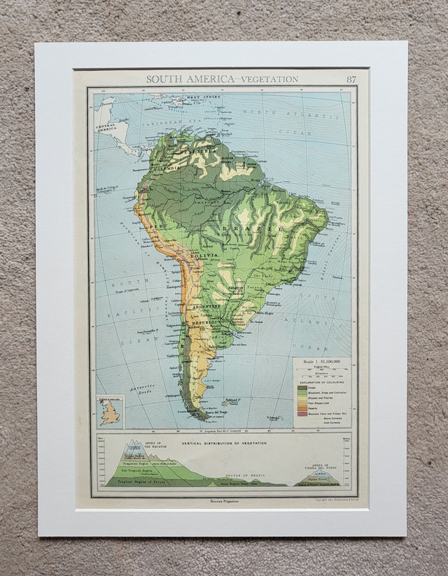 South America - Vegetation