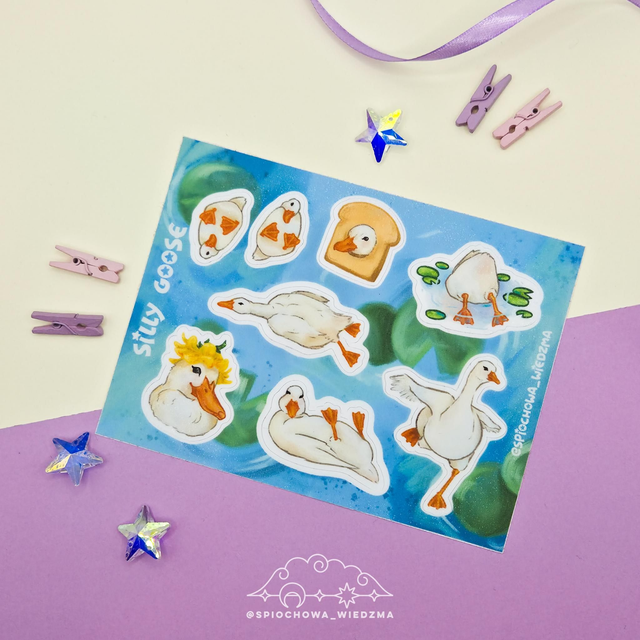 Silly Goose | ZWIERZĘTA 