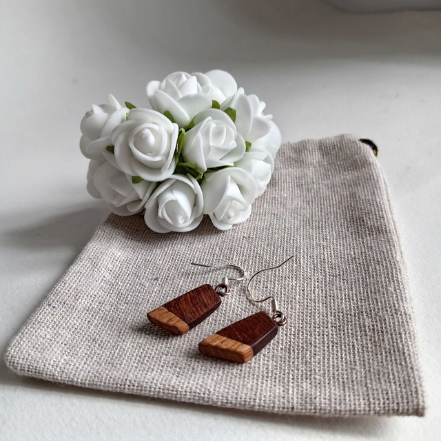 Boucles d'oreilles bicolores