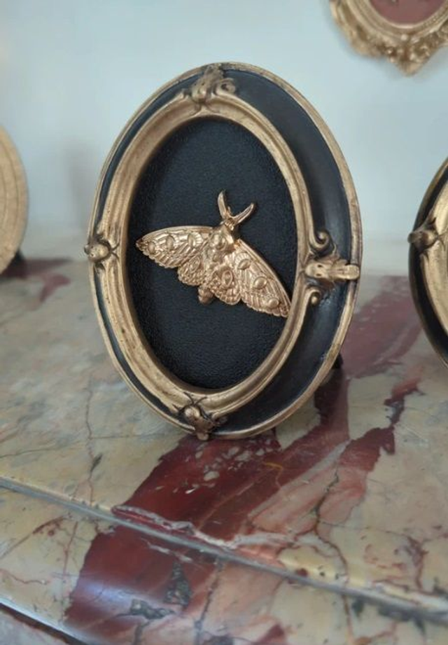 Cadre baroque noir et doré papillon de nuit