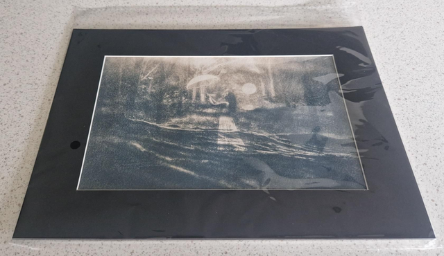 Toned Cyanotype Montage A4 Mounted