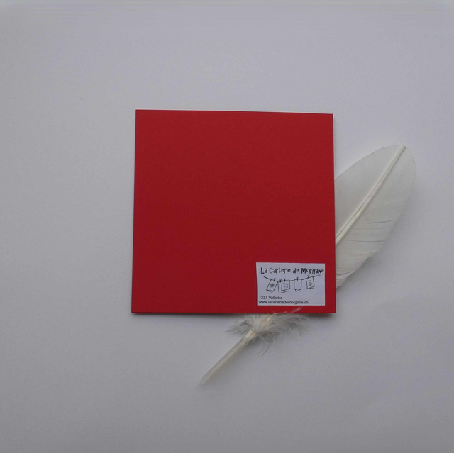 Bonne année en rouge