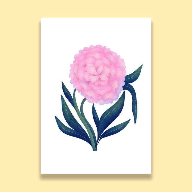 Fleurs: "Pivoine commune" impression d'art 