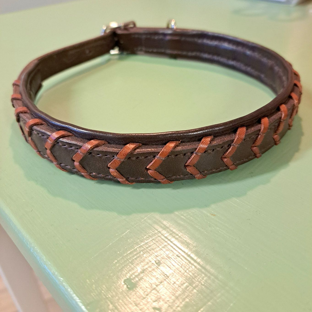 Kaulapanta, ohjaspunos