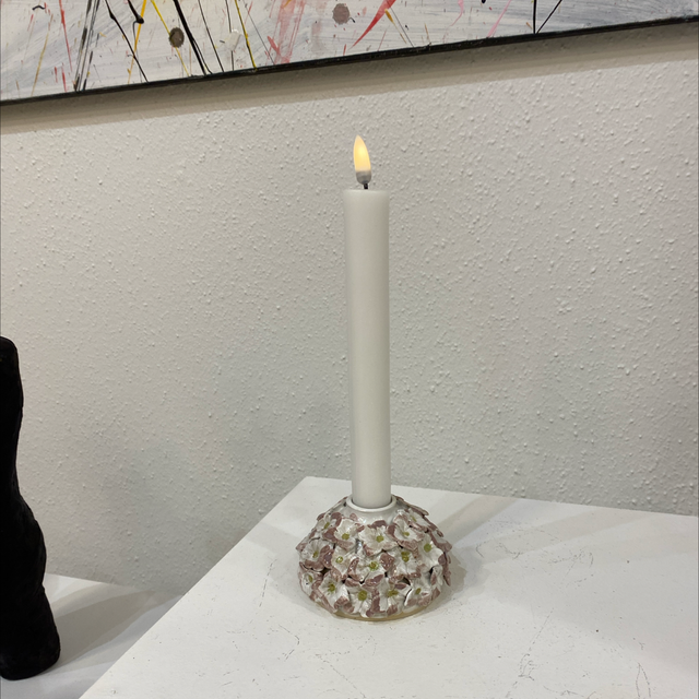 Rosa/hvid Hortensia stage fra CHARLOTTESCLAYGROUND