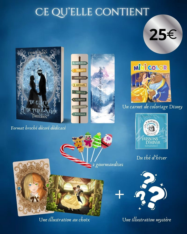 Box de Noël Theelrion broché