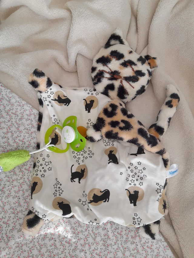 Doudou Sacha le chat